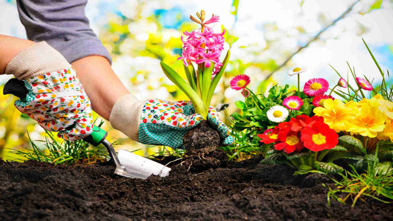 Floralies Garden & Deco offre sur plus de 6000 m² de serres et de pépinières un véritable paradis pour amateurs et mains vertes.